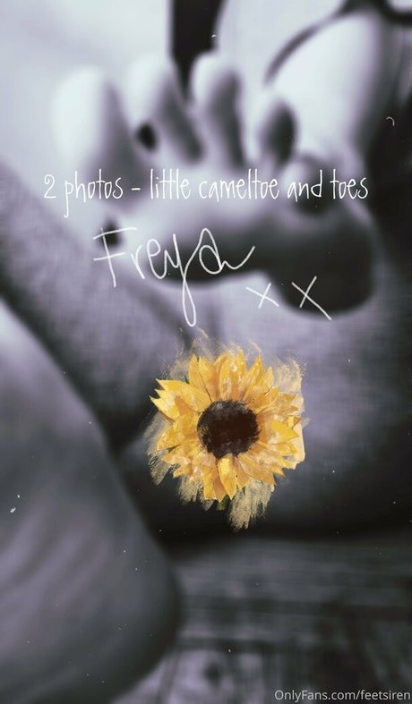 アナルトランスオンリーファンズ ポルノグラフィック ギャラリー