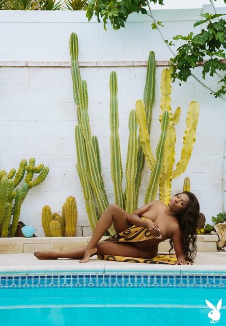 Aziza top profile image