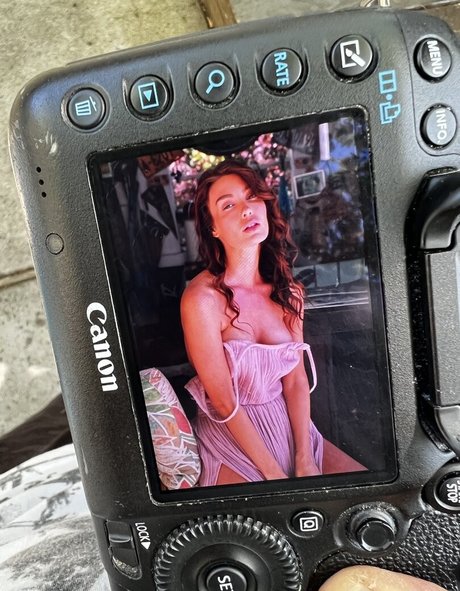 Carolina White 限定スター 画像