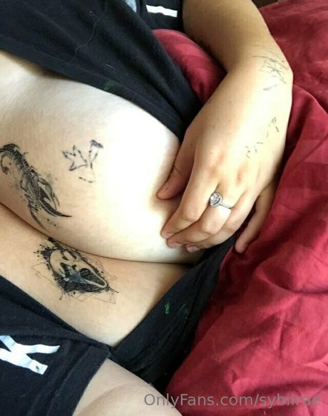 Sybilrae アートモデル 画像