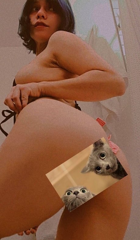 Themeowtastickat 限定スター 写真