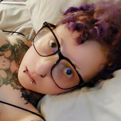Discordkitten アートスター 写真