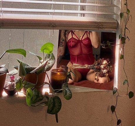 トゥワークオンリーファン トップ 写真