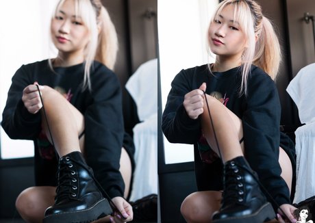 ayaska 高品質のスター 写真