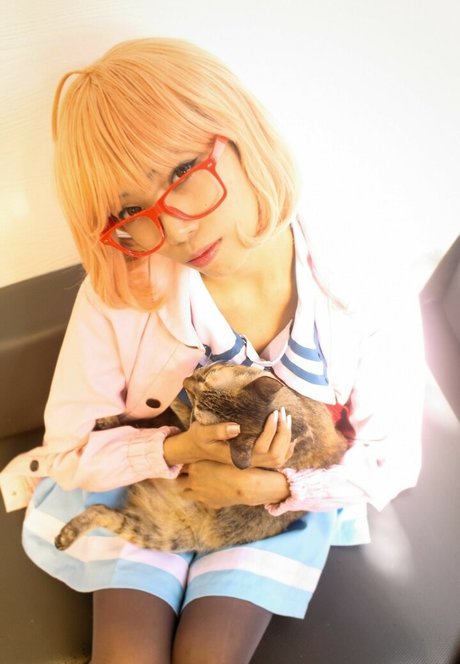 Nekonator 高品質スター 写真