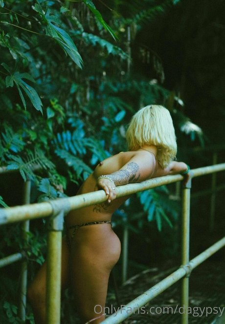 Kaylee Gypsy アダルトスター 画像
