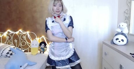 Pancakee 美しいスター 画像