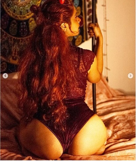 BolinhoSelvagem 美しいスター 写真