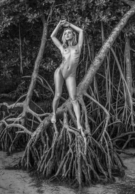 Marie Brooks アートポルノスター 写真