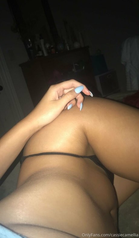 偽おっぱいオンリーファンズ 限定 写真