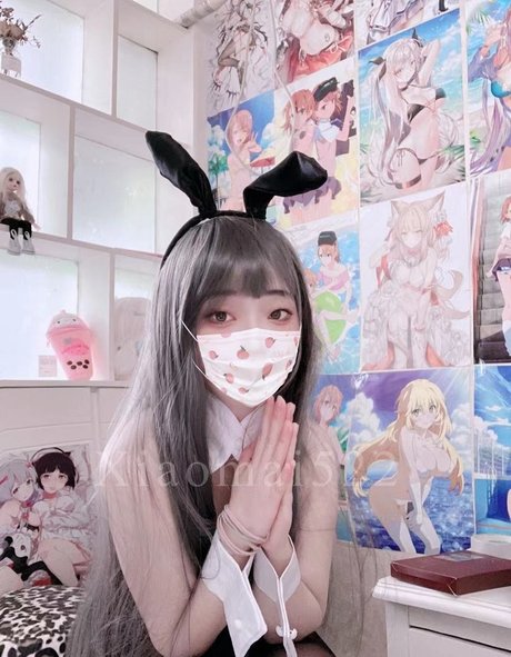 Xiaomai522 profile image