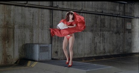 Kelly LeBrock 美しいモデル ギャラリー