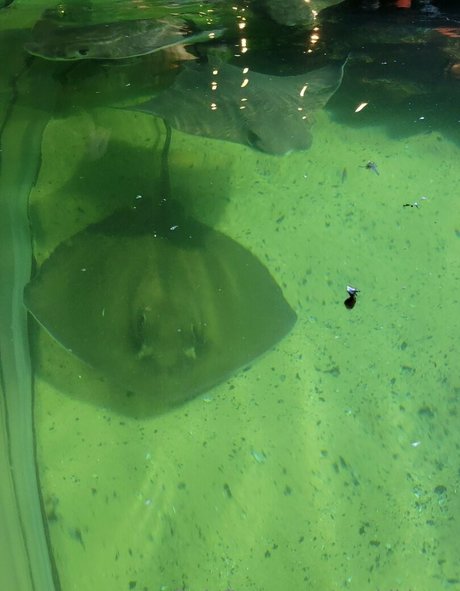 ディープスロート POV オンリーファンズ ポルノ 画像