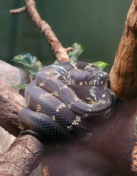 ビキニファックオンリーファンズ ホットxxx 写真