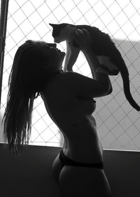 Meninas De Curitiba スター 写真