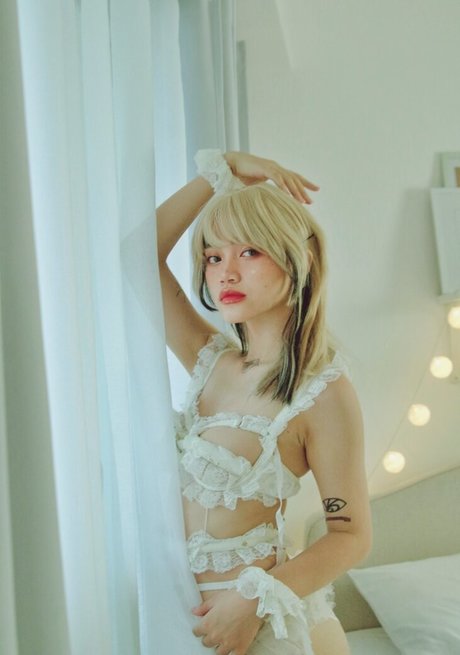 Sab Sangria HDモデル 写真
