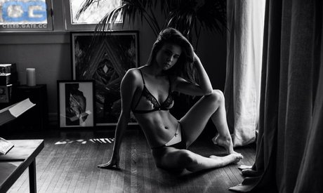 黒檀の足フェチオンリーファンズ HD 画像