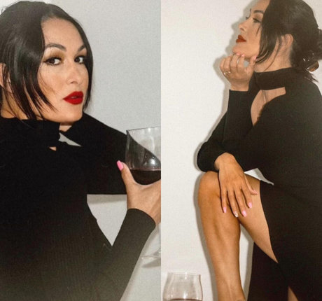 The Bella Twins アダルトモデル 写真