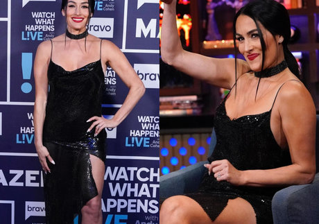 The Bella Twins ポルノスター ホット アーカイブ