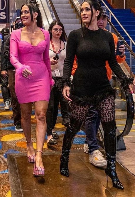 The Bella Twins ポルノスター 写真