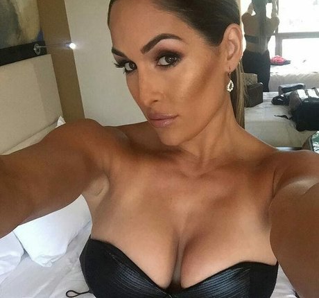 The Bella Twins アートモデル アーカイブ