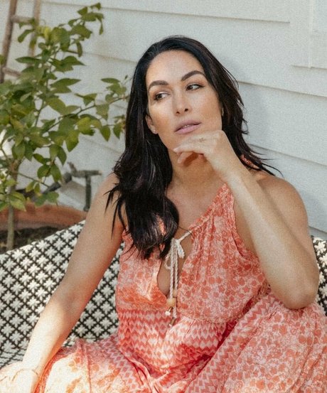 The Bella Twins かわいいスター 画像