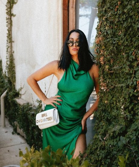 The Bella Twins top profile image