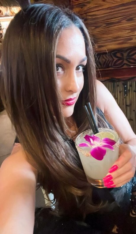 The Bella Twins 素敵なポルノスター 写真