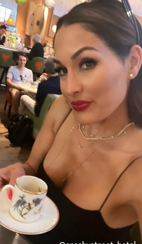 The Bella Twins 完璧なスター アーカイブ