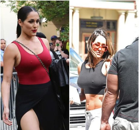 The Bella Twins 高品質のスター ギャラリー