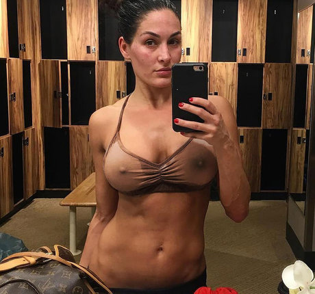 The Bella Twins ポルノスター ホット 写真