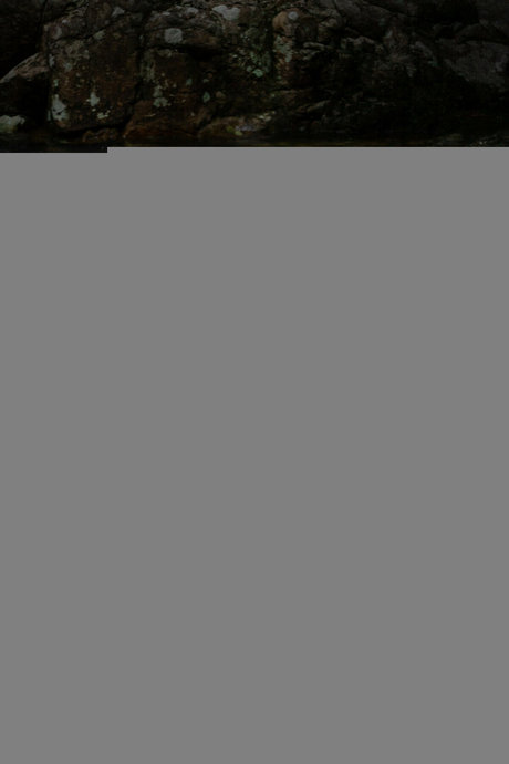 Natalia Casassola スター 画像