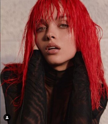 Anna Zak 美しいモデル 画像