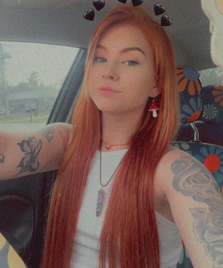Gingiehippie セクシーなスター 写真