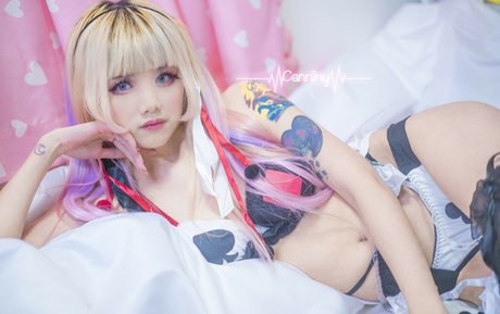 Canniny 無料スター 写真
