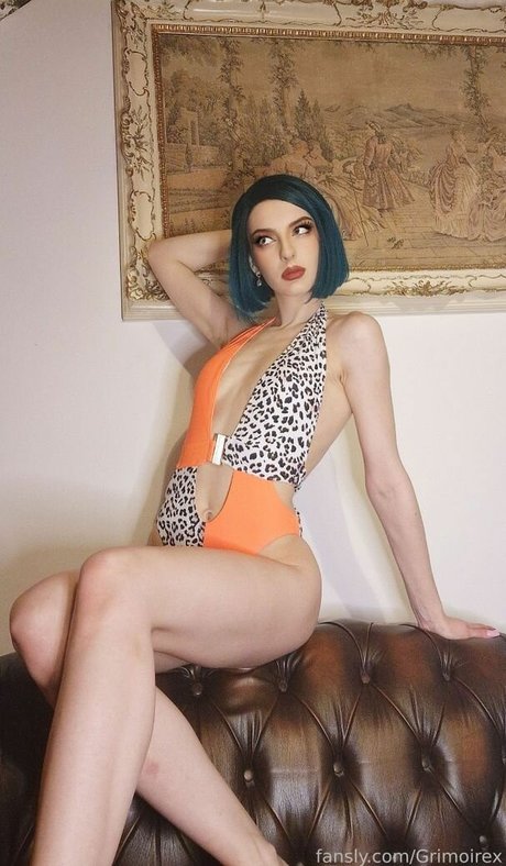 Grimoire 高品質のスター アーカイブ