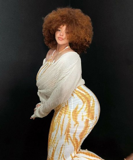 Nikkie Ginger HDモデル 画像