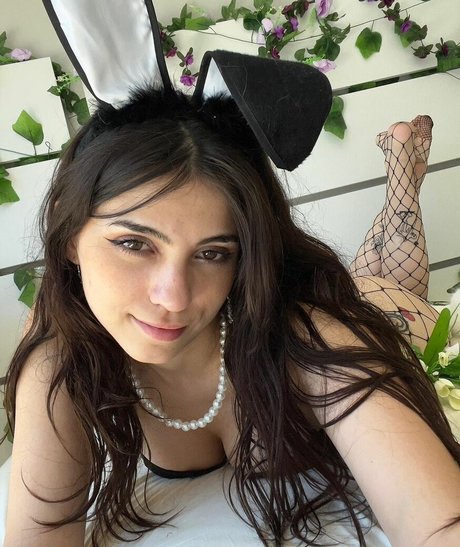 iaaras2 最高のスター 写真