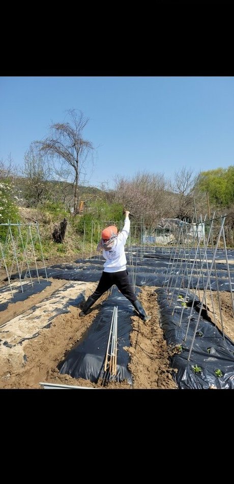 Yuggie TV ポルノスター 無料 画像