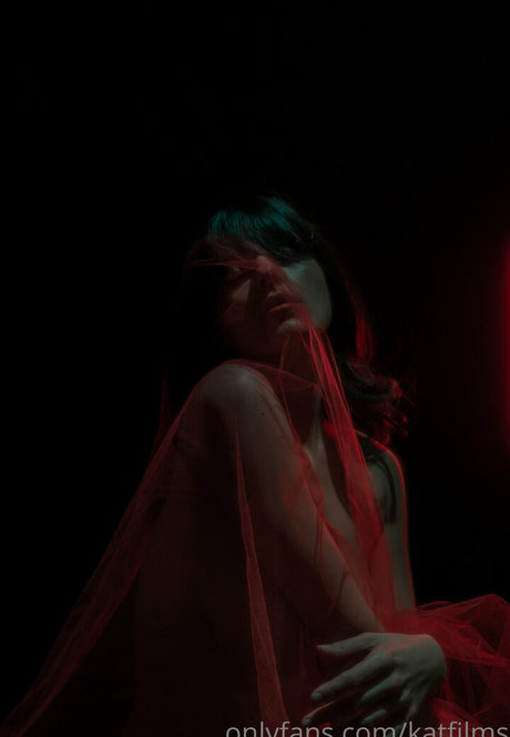 タイのレディーボーイオンリーファンズ アートxxx 写真