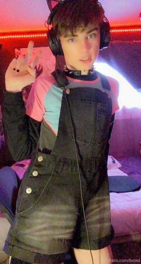 boixd 高品質女優 画像