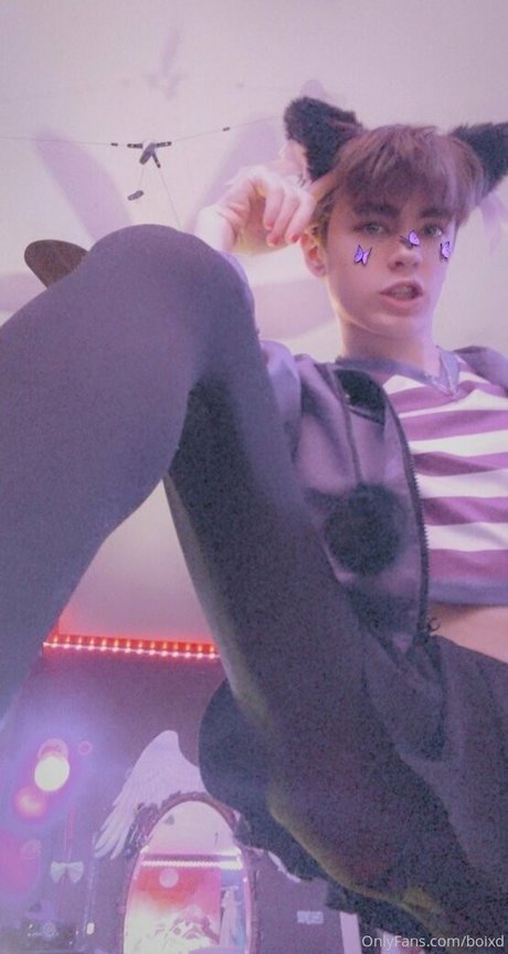 boixd 最高のモデル 画像