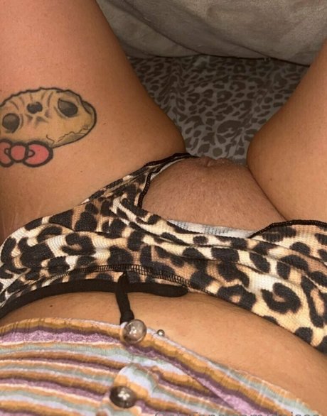 daisea 無料のポルノスター アーカイブ