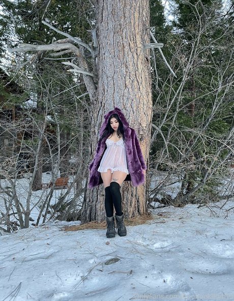 Boobookittyb13 美しいポルノスター 写真