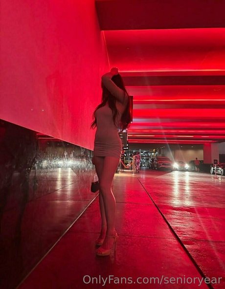 有名なレディボーイオンリーファンズ アートヌード 画像