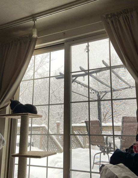 黒のランジェリーオンリーファンズ ポルノ 写真