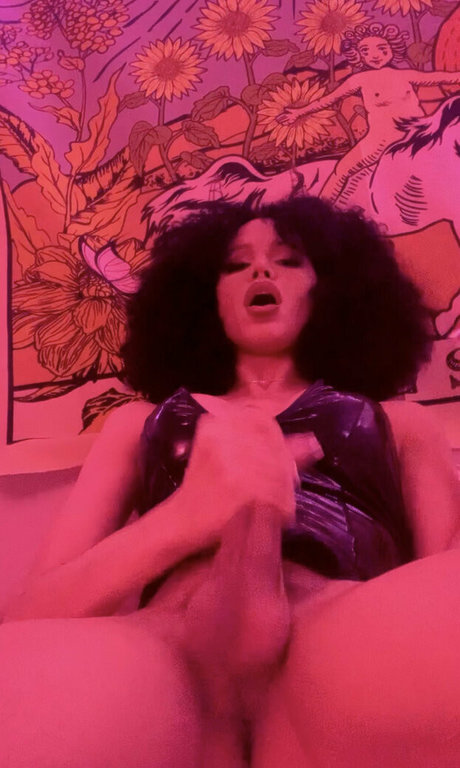 ms jade26 完璧なスター 画像