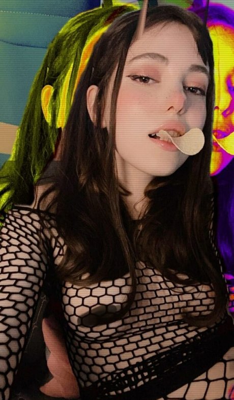 Kittew かわいいスター 画像