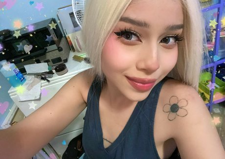 Daisyrot 無料女優 画像