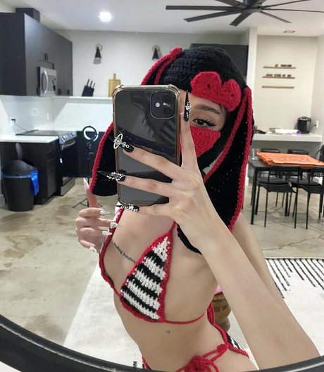 Daisyrot 高品質のスター 写真